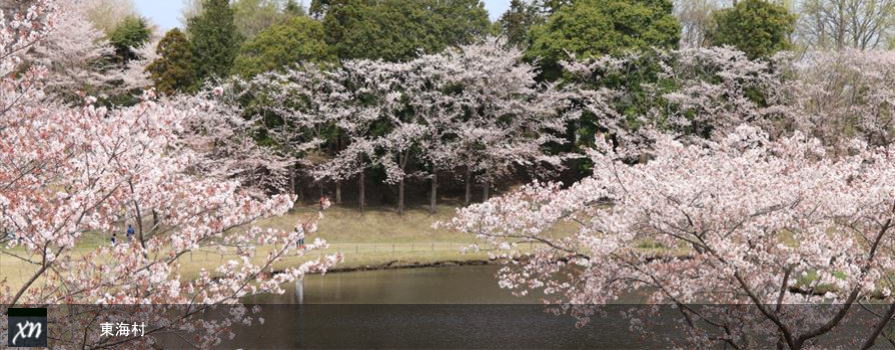 茨城県東海村