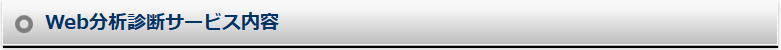 Web分析診断サービス内容