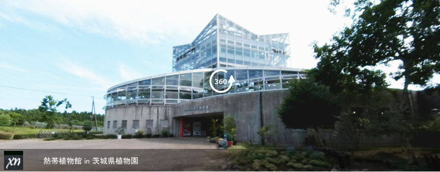 熱帯植物館 in 茨城県植物園