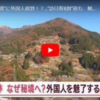 祖谷渓谷-日本三大秘境