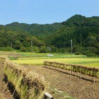 里山風景